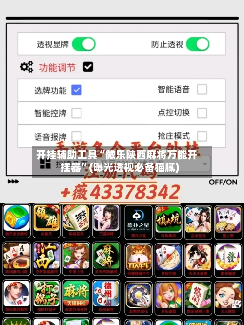 开挂辅助工具“微乐陕西麻将万能开挂器”(曝光透视必备猫腻)-第2张图片