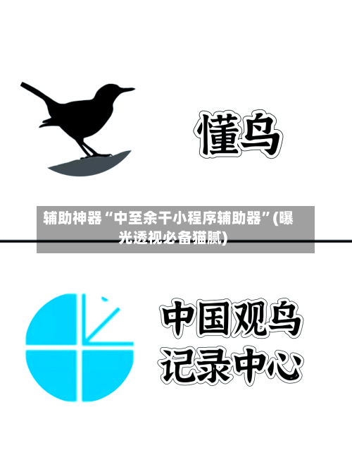 辅助神器“中至余干小程序辅助器	”(曝光透视必备猫腻)-第2张图片