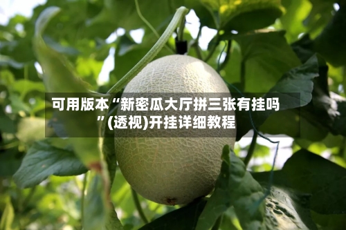 可用版本“新密瓜大厅拼三张有挂吗”(透视)开挂详细教程-第2张图片