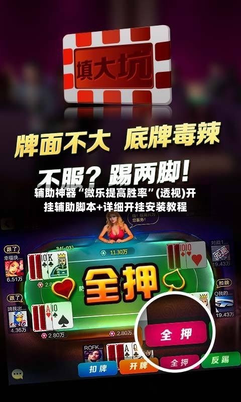 辅助神器“微乐提高胜率”(透视)开挂辅助脚本+详细开挂安装教程