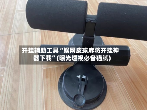 开挂辅助工具“娱网皮球麻将开挂神器下载”(曝光透视必备猫腻)