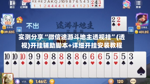 实测分享“微信途游斗地主透视挂”(透视)开挂辅助脚本+详细开挂安装教程-第3张图片