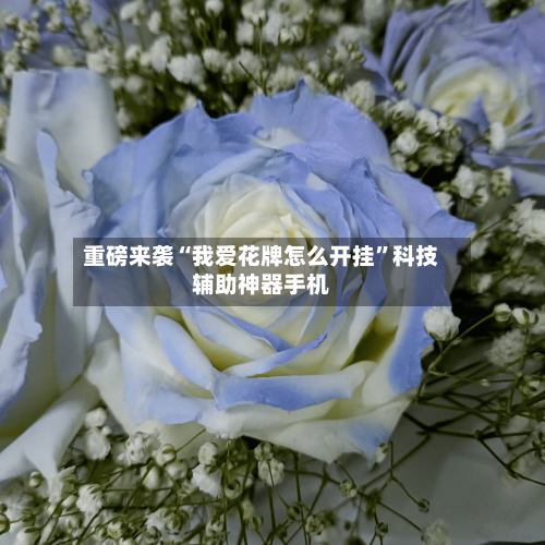 重磅来袭“我爱花牌怎么开挂”科技辅助神器手机