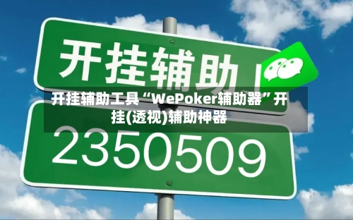 开挂辅助工具“WePoker辅助器”开挂(透视)辅助神器-第2张图片