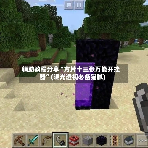 辅助教程分享“方片十三张万能开挂器”(曝光透视必备猫腻)