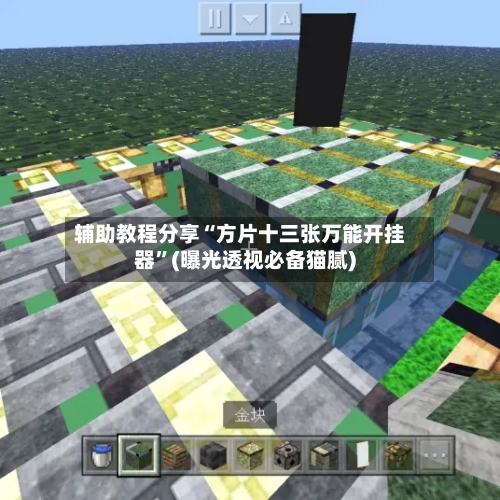 辅助教程分享“方片十三张万能开挂器”(曝光透视必备猫腻)-第2张图片