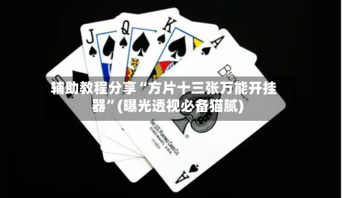 辅助教程分享“方片十三张万能开挂器”(曝光透视必备猫腻)-第3张图片