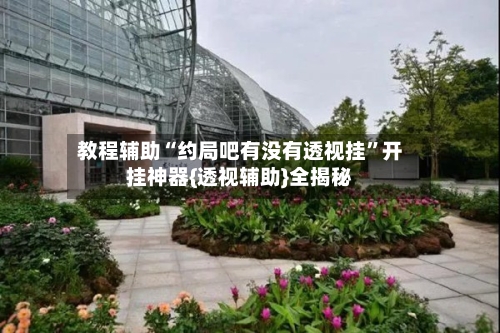 教程辅助“约局吧有没有透视挂”开挂神器{透视辅助}全揭秘