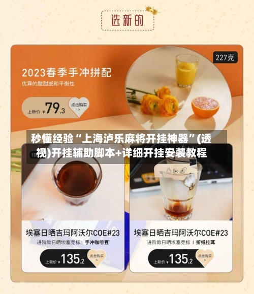 秒懂经验“上海泸乐麻将开挂神器”(透视)开挂辅助脚本+详细开挂安装教程-第2张图片