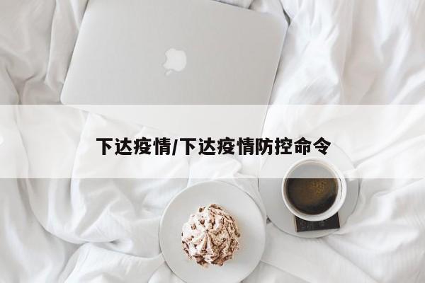 下达疫情/下达疫情防控命令